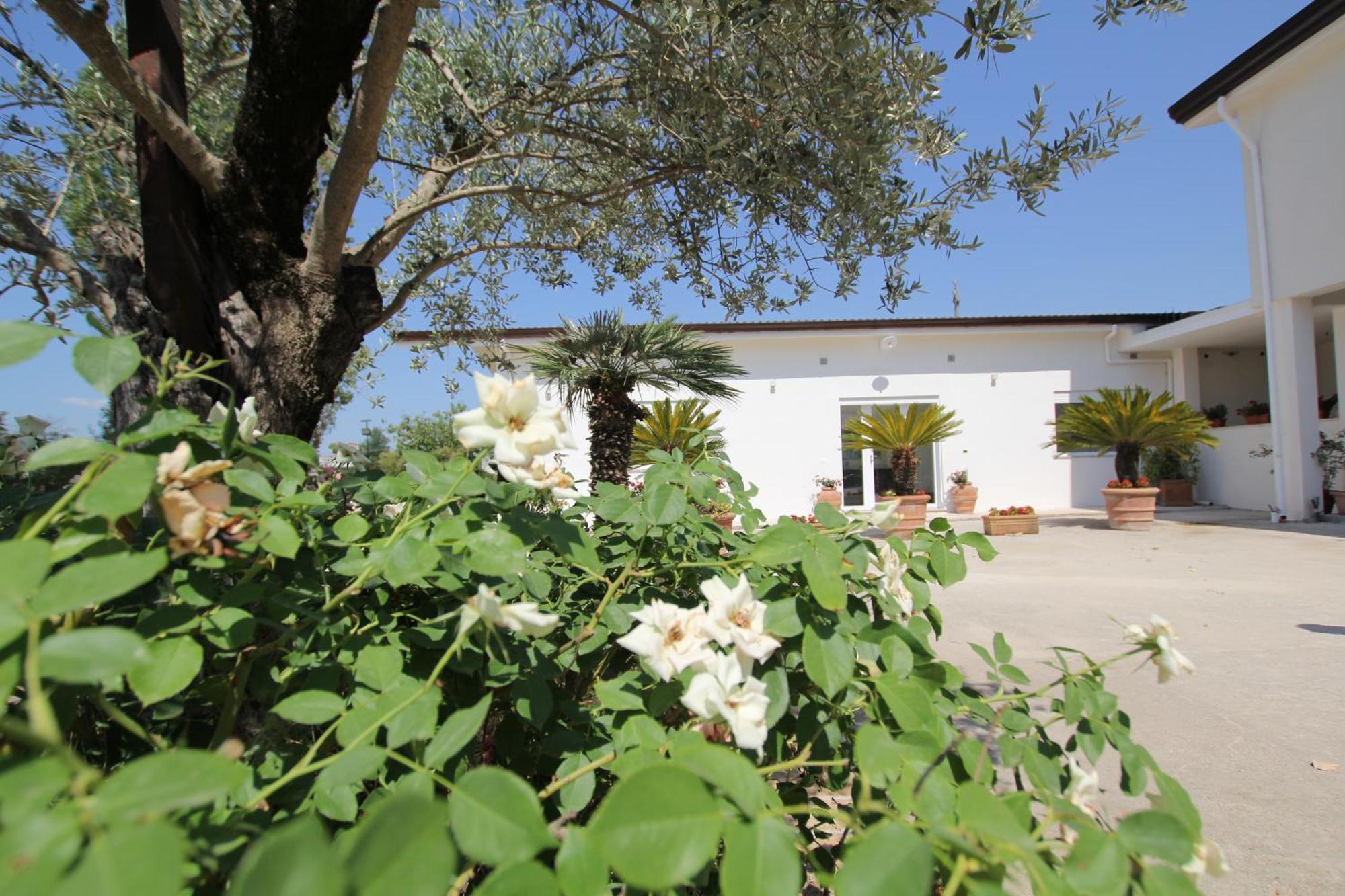 Villa Capodacqua Castrocielo Exterior photo
